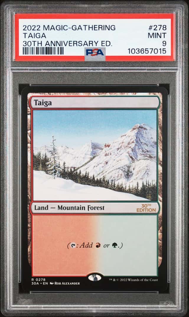 Taiga R
