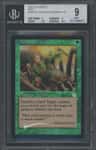 Sylvan Safekeeper R