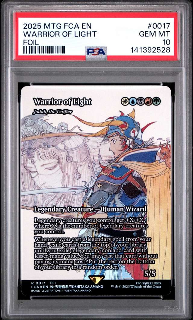 Warrior Of Light