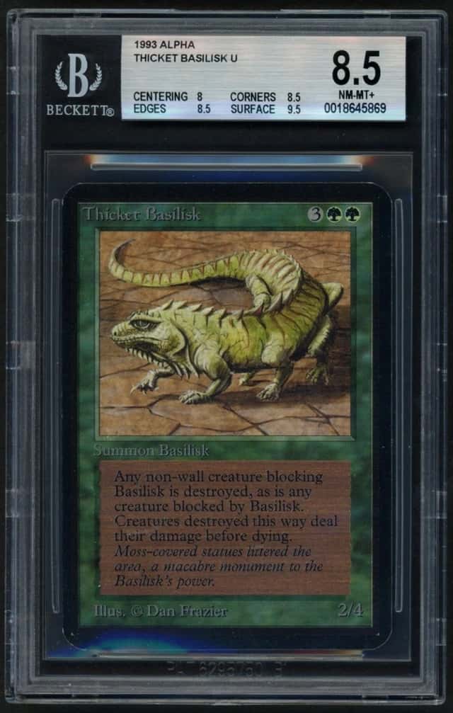 Thicket Basilisk