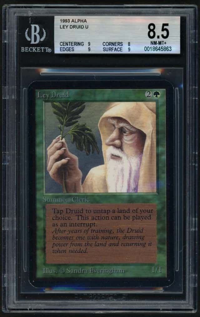 Ley Druid
