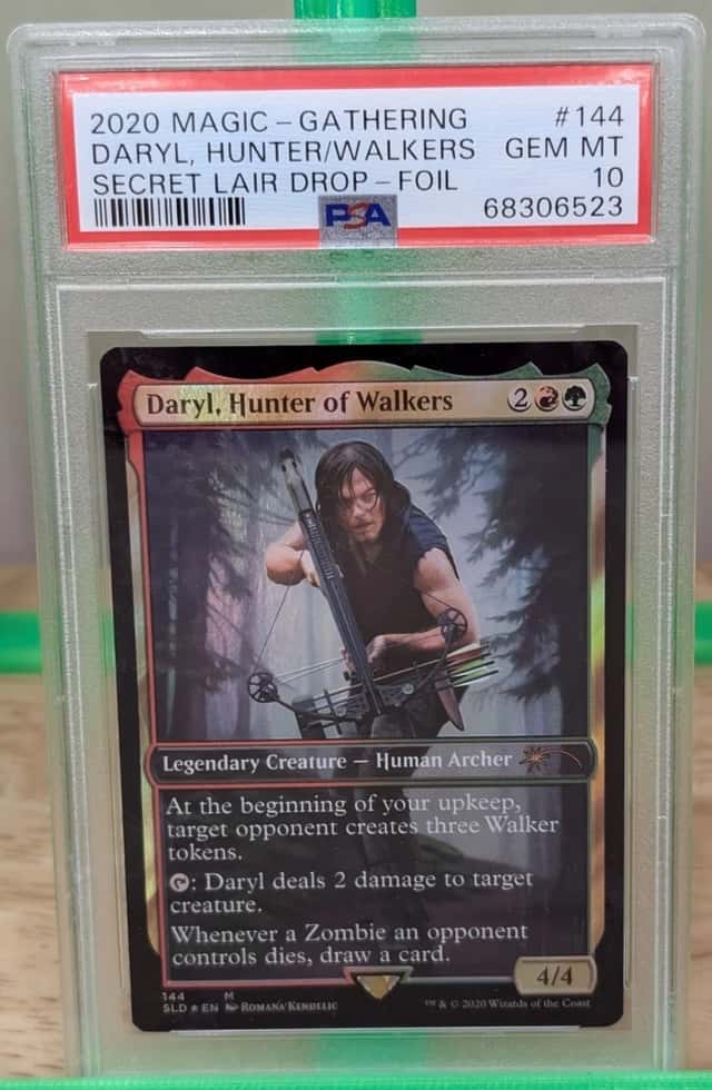Daryl, Hunter of Walkers