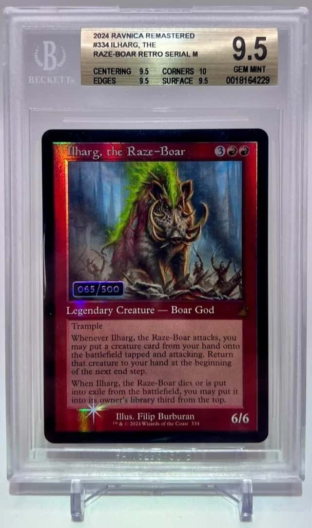 Ilharg, the Raze-Boar RETRO SERIAL M