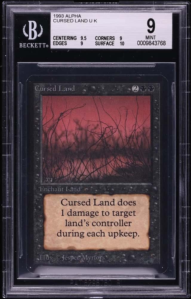 Cursed Land
