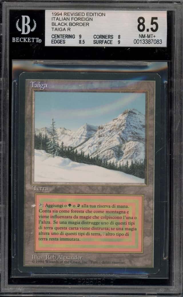 Taiga/(Taiga R)