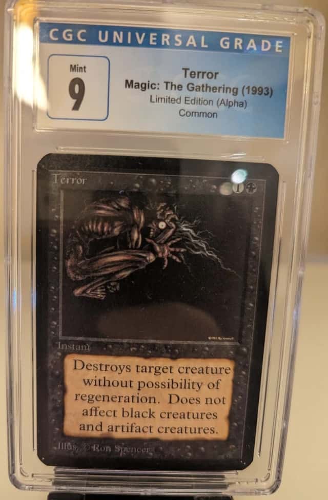 Terror
