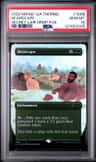 Bearscape