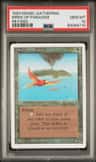 Birds Of Paradise