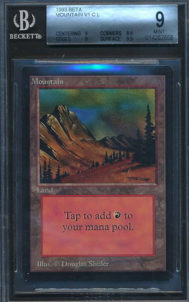 Mountain v1 L