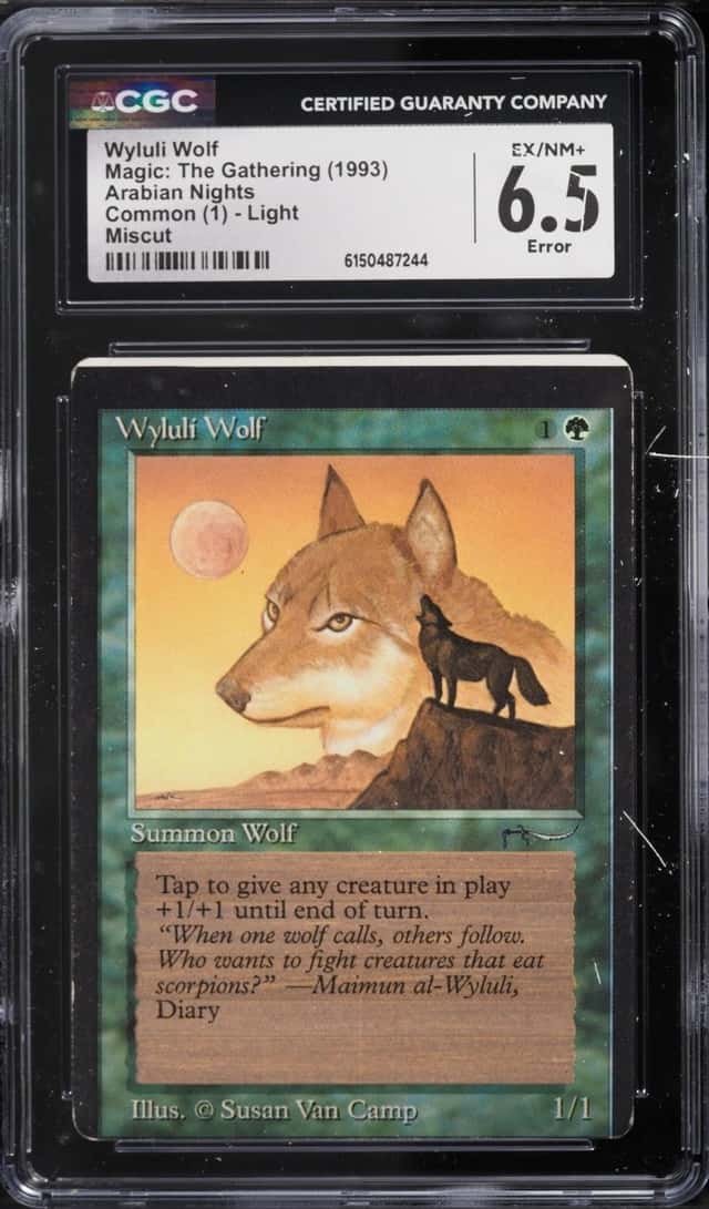 Wyluli Wolf