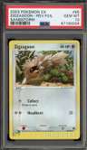 Zigzagoon