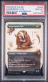 Badgermole Cub