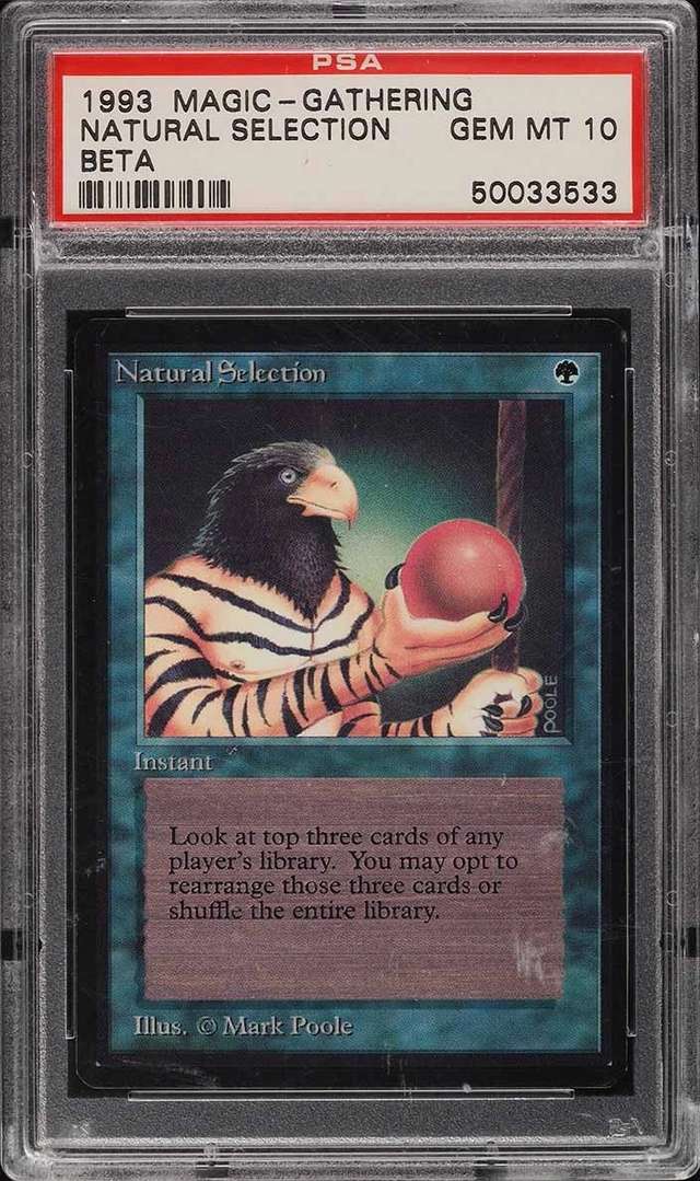 Natural Selection