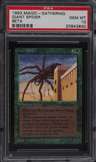 Giant Spider