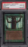 Ironroot Treefolk
