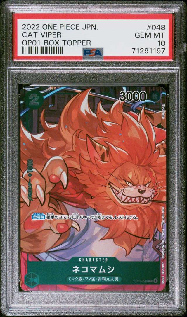 NEKOMAMUSHI