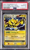 Electivire Lv.x