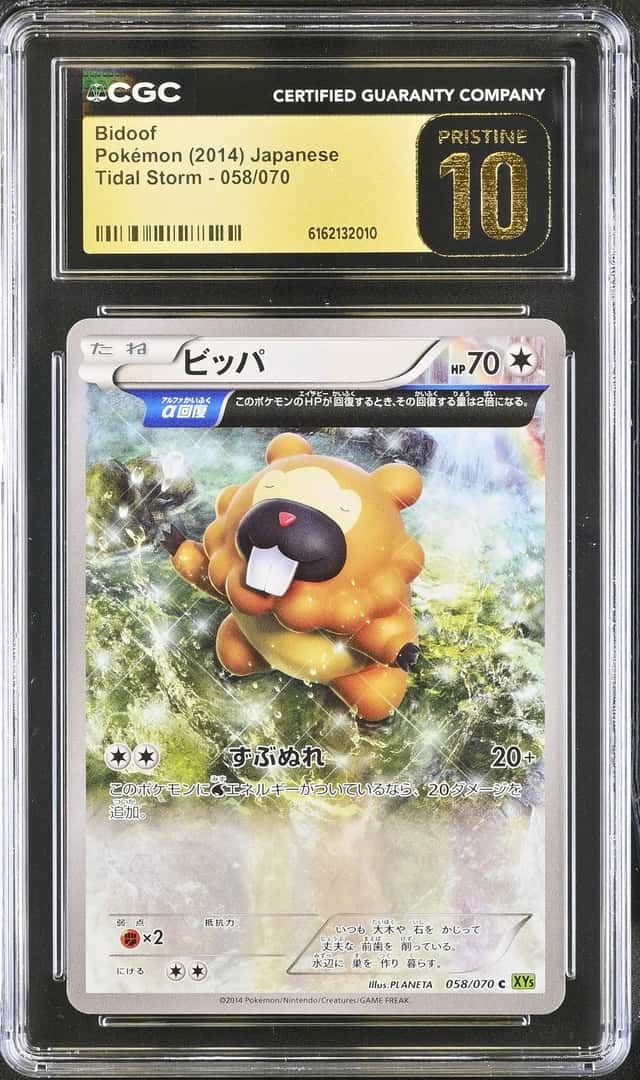 Bidoof