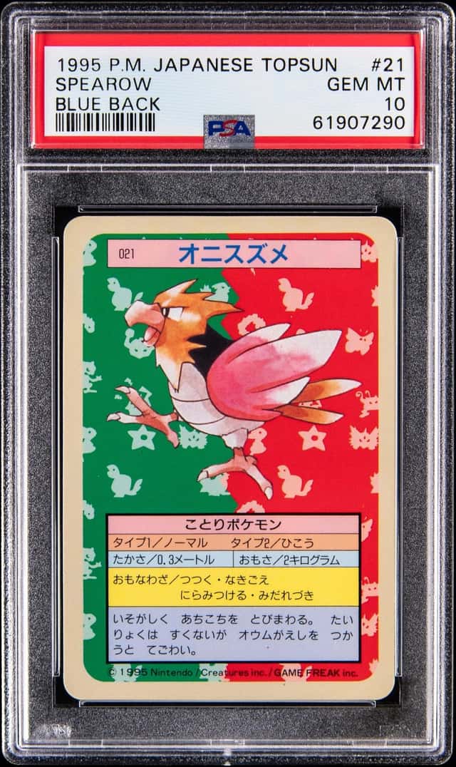 Spearow