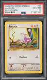 Rattata
