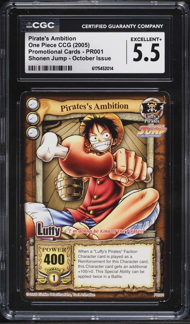 Pirate's Ambition
