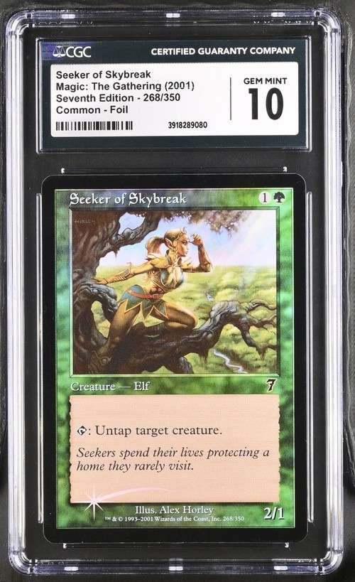 Seeker Of Skybreak C
