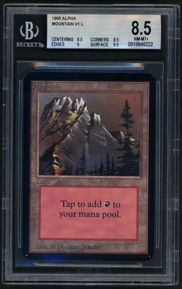 Mountain v1 L