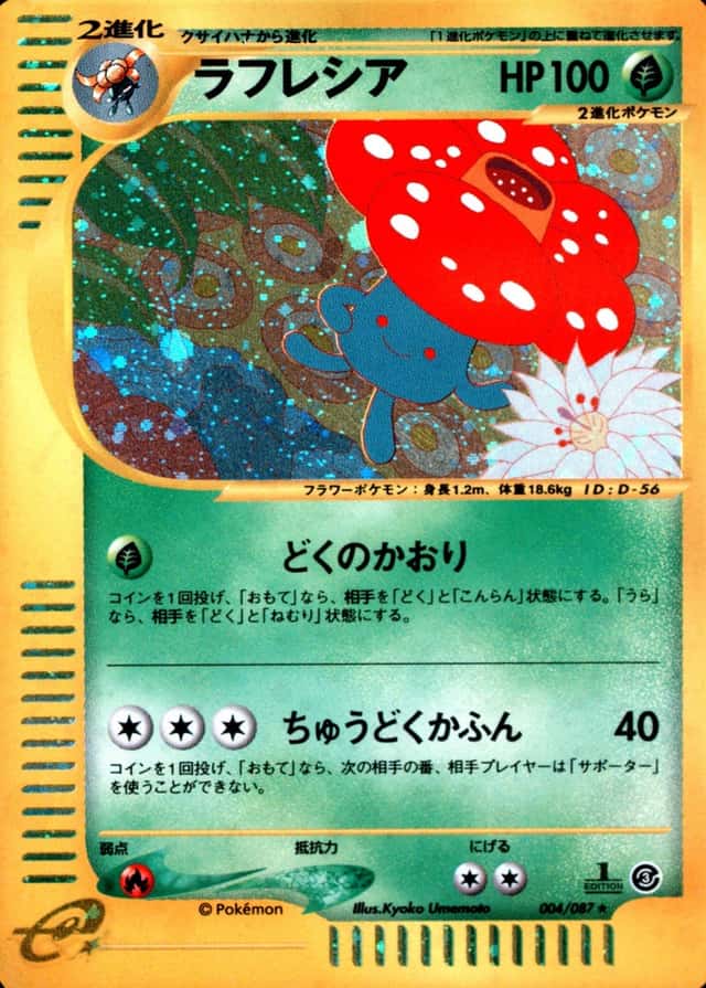 1st Edition