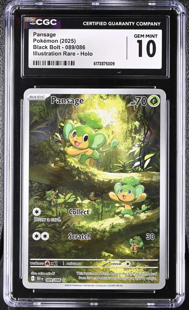 Pansage
