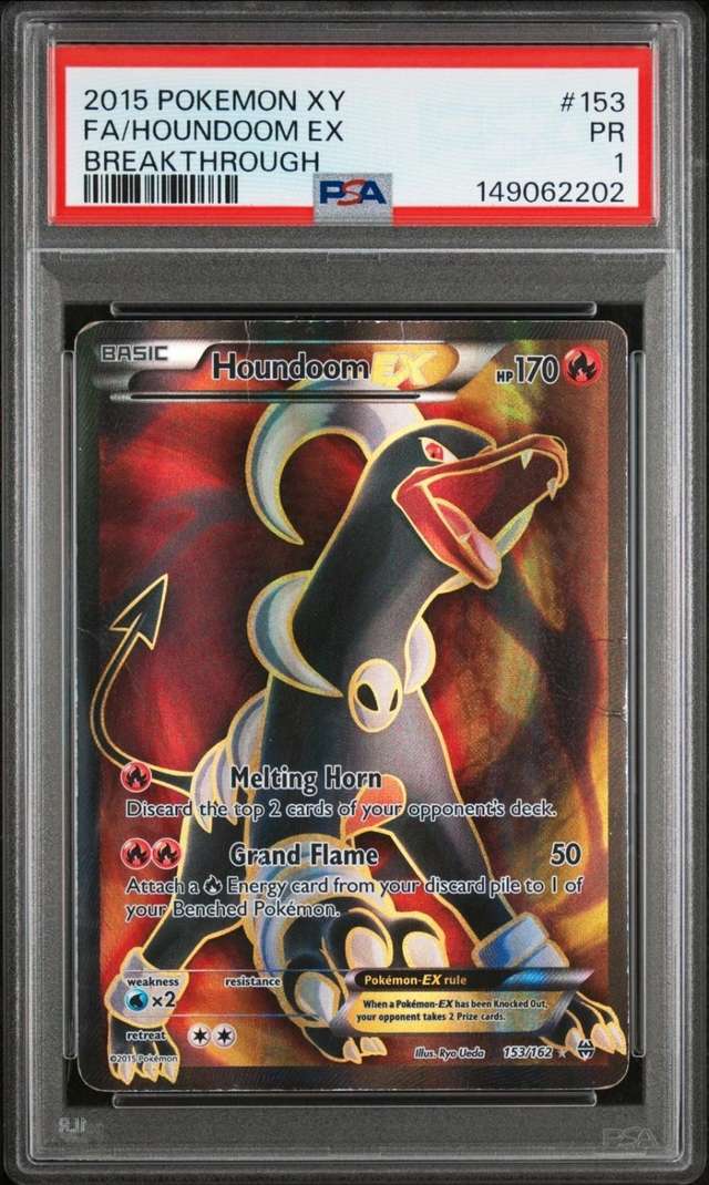 Houndoom EX