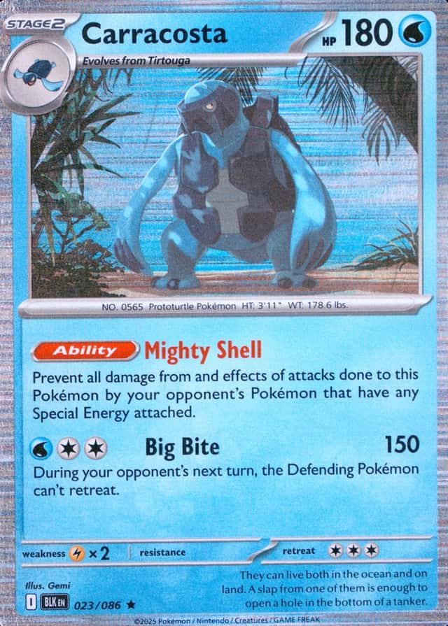 Base / no variant