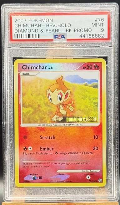 Chimchar Lv.8