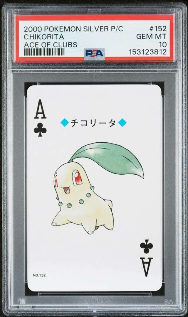 Chikorita