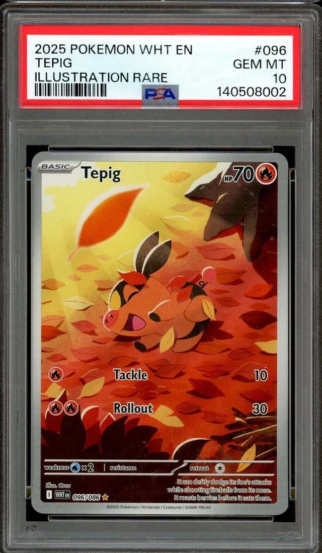 Tepig
