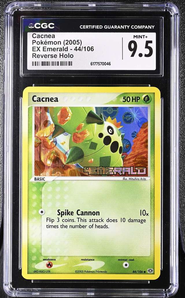 CACNEA-REV.FOIL