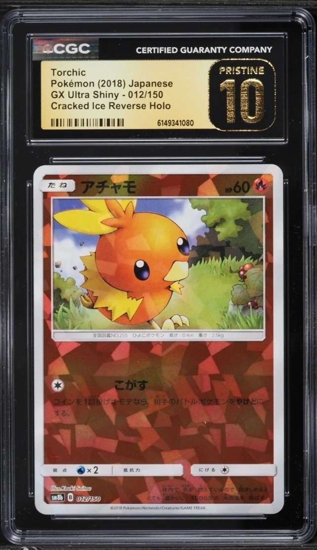 Torchic