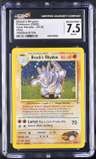 Brock'S Rhydon