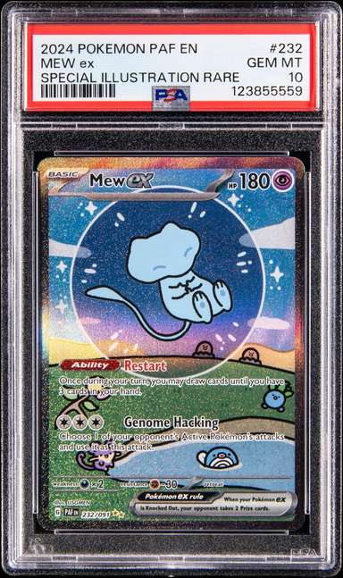 MEW ex