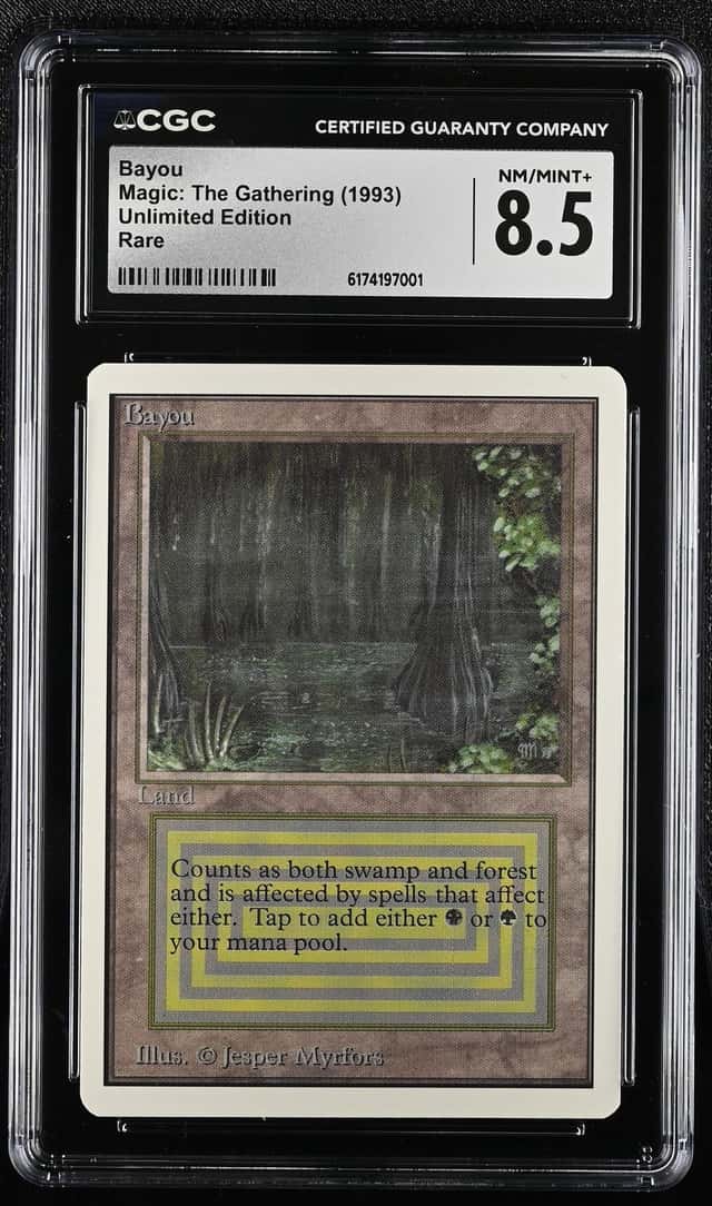Bayou