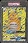 Fa/raichu Gx