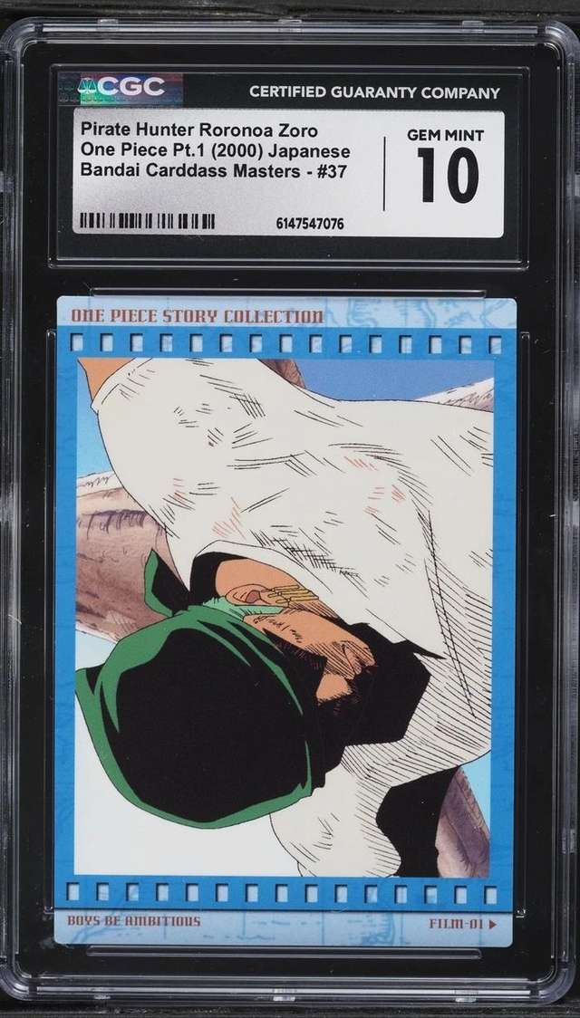 Pirate Hunter Roronoa Zoro