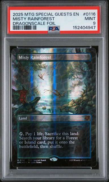 Misty Rainforest