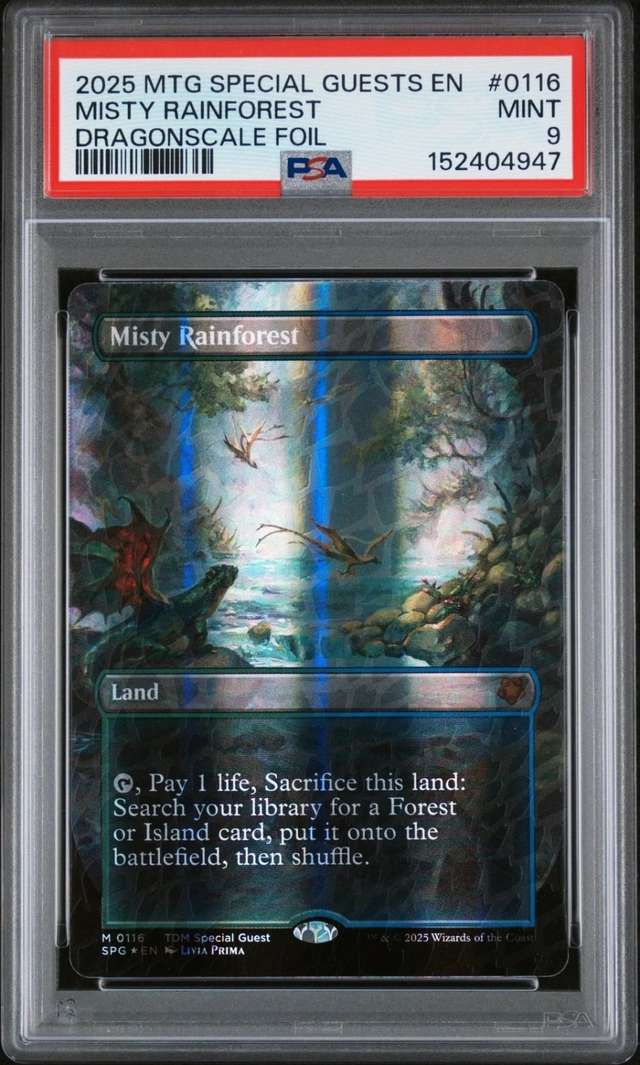 Misty Rainforest