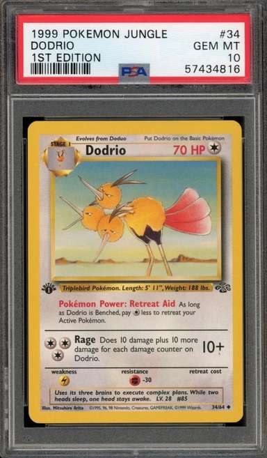 Dodrio