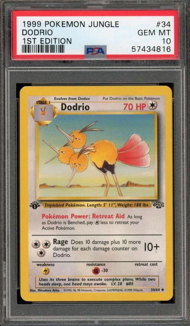 Dodrio