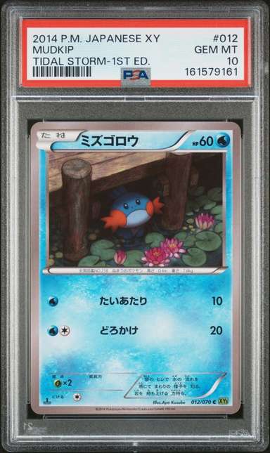 Mudkip