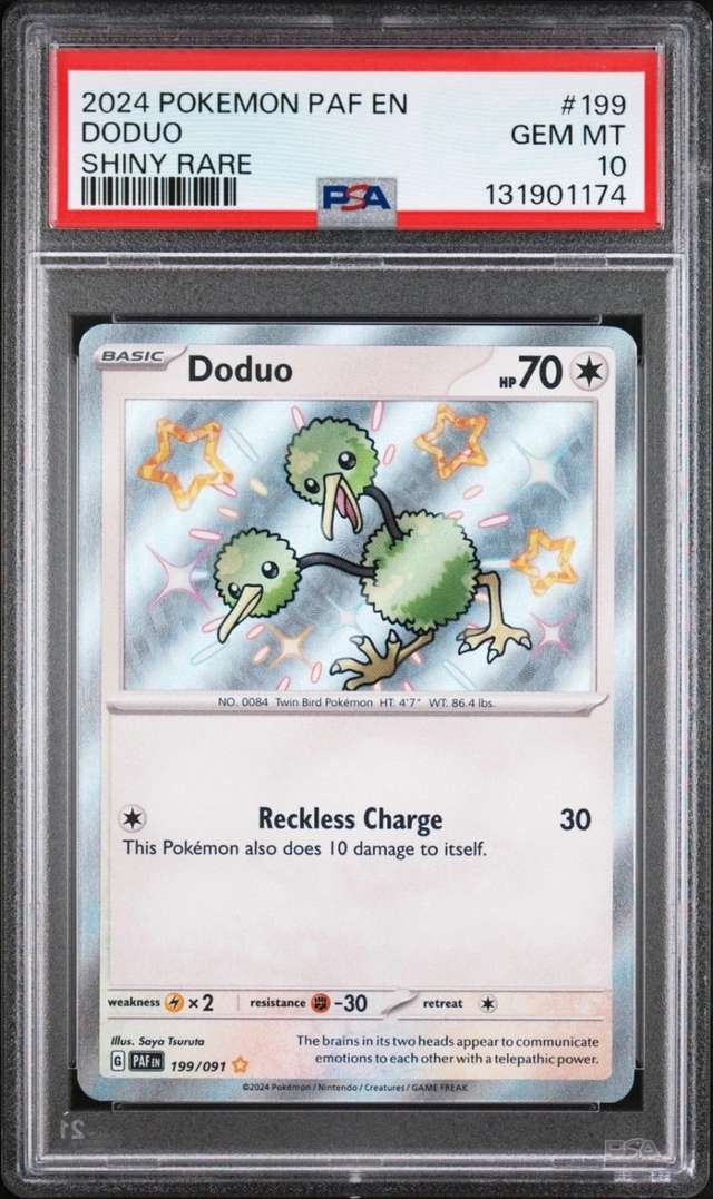 Doduo
