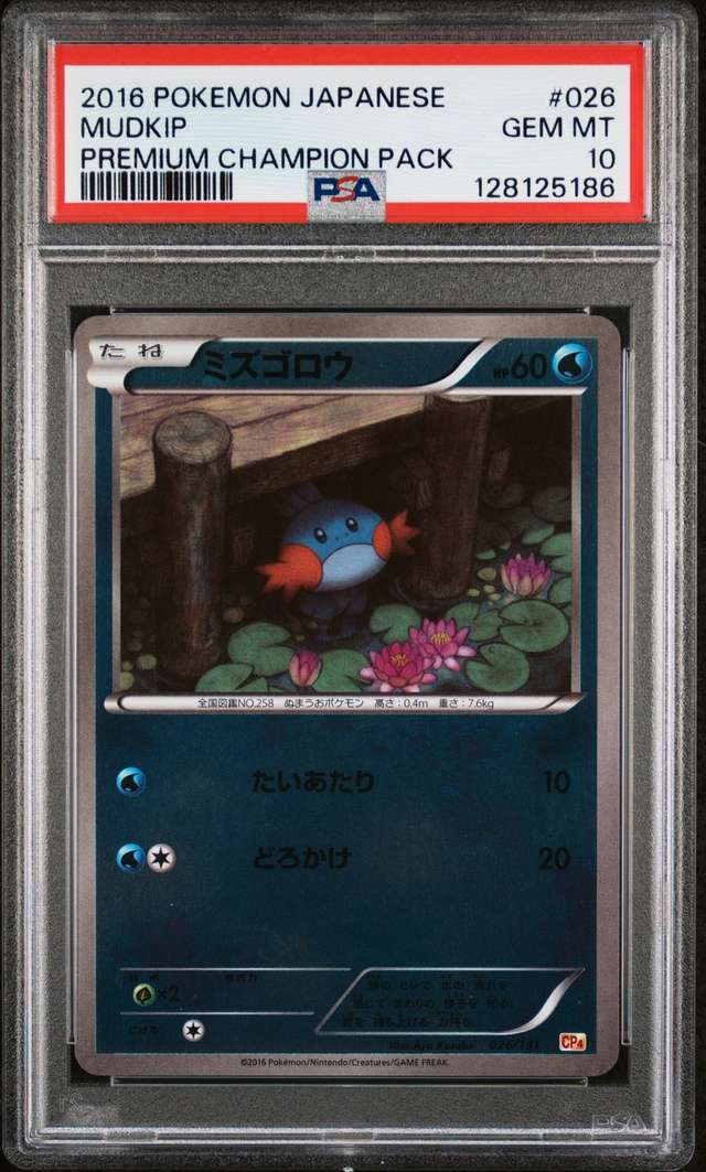 Mudkip