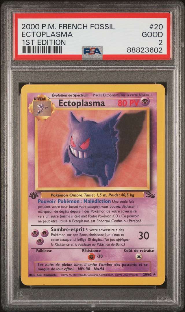 Ectoplasma