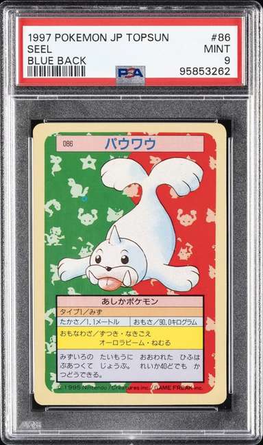 Seel